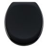 Diaqua Barbana 31166680 toilet seat with lid black