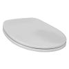 Villeroy en Boch Omnia Classic 88246109 toiletzitting met deksel pergamon *niet meer leverbaar*