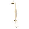 Brauer Carving 5-GG-087-1 opbouw thermostatische regendouche SET 01 goud geborsteld PVD