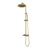 Brauer Carving 5-GG-087-3 opbouw thermostatische regendouche SET 03 goud geborsteld PVD