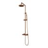 Brauer Carving 5-GK-087-1 opbouw thermostatische regendouche SET 01 koper geborsteld PVD