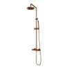 Brauer Edition 5-GK-007-1 opbouw thermostatische regendouche SET 01 koper geborsteld PVD