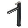 Brauer Edition 5-GM-002-HD4 verhoogde opbouw wastafelmengkraan model D gunmetal geborsteld PVD