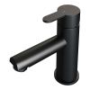 Brauer Edition 5-S-001-HD4 lage opbouw wastafelmengkraan model D mat zwart