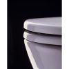 Pressalit Objecta D 172011-BR7999 WC-Sitz mit Deckel weiß Polygiene