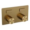 Brauer Carving 5-GG-214 thermostatische inbouw badkraan met drukknoppen SET 03 goud geborsteld PVD