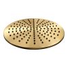 Brauer Edition 5-GG-007-3 opbouw thermostatische regendouche SET 03 goud geborsteld PVD