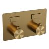 Brauer Edition 5-GG-210 thermostatische inbouw badkraan met drukknoppen SET 03 goud geborsteld PVD