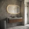 Phantom Mirrors Serie 009 009.120.70 Deens ovale LED spiegel op zwart frame, 120x70 cm met directe en indirecte led rondom