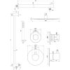 Brauer Edition 5-NG-034 thermostatische inbouw regendouche SET 14 RVS geborsteld PVD
