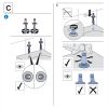 Geberit Renova 500836011 toiletzitting met deksel wit