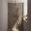 Brauer Carving 5-GG-200 thermostatische inbouw regendouche met drukknoppen SET 65 goud geborsteld PVD