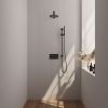 Brauer Edition 5-S-172 thermostatische inbouw regendouche met drukknoppen SET 61 mat zwart