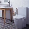 Pressalit Objecta D 172111-BR7999 toiletzitting met deksel zwart polygiene