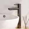 Brauer Carving 5-GM-002-HD6 verhoogde opbouw wastafelmengkraan model A gunmetal geborsteld PVD
