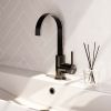 Brauer Carving 5-GM-003-S4 hoge opbouw wastafelmengkraan met draaibare platte uitloop model A gunmetal geborsteld PVD