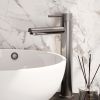 Brauer Carving 5-NG-002-HD6 verhoogde opbouw wastafelmengkraan model A RVS geborsteld PVD