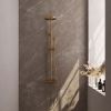 Brauer Edition 5-GG-007-1 opbouw thermostatische regendouche SET 01 goud geborsteld PVD