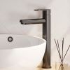 Brauer Edition 5-GM-002-HD3 verhoogde opbouw wastafelmengkraan model C gunmetal geborsteld PVD