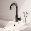 Brauer Edition 5-GM-003-R2 hoge opbouw wastafelmengkraan met draaibare ronde uitloop model B gunmetal geborsteld PVD