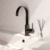 Brauer Edition 5-GM-003-S3 hoge opbouw wastafelmengkraan met draaibare platte uitloop model A gunmetal geborsteld PVD