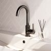Brauer Edition 5-GM-003 hoge opbouw wastafelmengkraan met draaibare ronde uitloop model A gunmetal geborsteld PVD