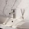 Brauer Edition 5-NG-001-HD3 lage opbouw wastafelmengkraan model C RVS geborsteld PVD
