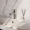 Brauer Edition 5-NG-001-HD4 lage opbouw wastafelmengkraan model D RVS geborsteld PVD