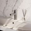 Brauer Edition 5-NG-001 lage opbouw wastafelmengkraan model A RVS geborsteld PVD