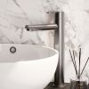Brauer Edition 5-NG-002-HD4 verhoogde opbouw wastafelmengkraan model D RVS geborsteld PVD