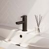 Brauer Edition 5-S-001-HD1 lage opbouw wastafelmengkraan model E mat zwart