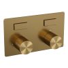 Brauer Carving 5-GG-206 thermostatische inbouw regendouche met drukknoppen SET 71 goud geborsteld PVD