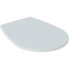 Geberit Renova 572165068 toiletzitting met deksel pergamon