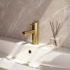 Brauer Edition 5-GG-001-HD5 lage opbouw wastafelmengkraan model B goud geborsteld PVD