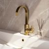 Brauer Edition 5-GG-003-S2 hoge opbouw wastafelmengkraan met draaibare platte uitloop model B goud geborsteld PVD