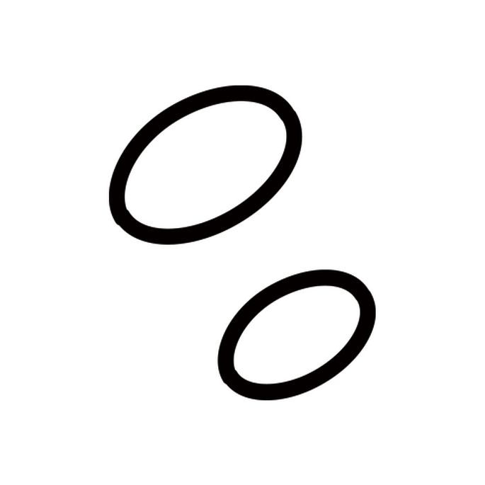 Geberit AquaClean 242176001 O-ring set voor douchearm t.b.v. AquaClean 4000