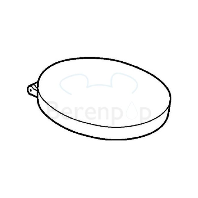Geberit Cassini 575200000 toiletzitting met deksel wit