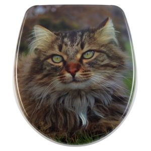 Diaqua Nice 31171202 toiletzitting met deksel motief Wuschel