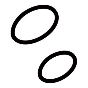 Geberit AquaClean 242176001 O-ring set voor douchearm t.b.v. AquaClean 4000