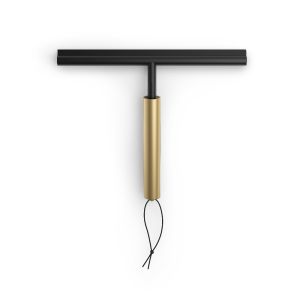 Decor Walther AquaBlade 0944082 wisser uitschuifbaar mat goud PVD