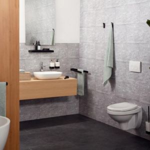 Haceka Aline 1208663 planchet 600mm gesatineerd glas/ mat zwart