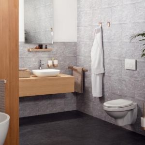 Haceka Aline 1208664 closetrolhouder geborsteld goud