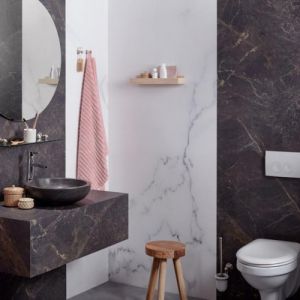 Haceka Allure 1208630 closetrolhouder met klep RVS geborsteld