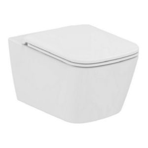 Ideal Standard Mia TV109AA set van 2 scharnieren chroom